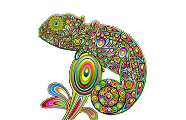 Caméléon Peinture
