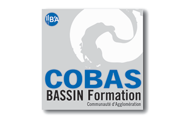 Bassin Formation Cobas