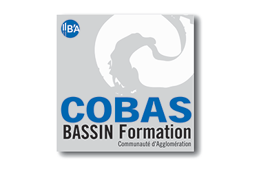 Bassin Formation Cobas