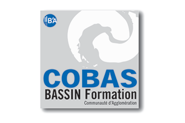 Bassin Formation Cobas